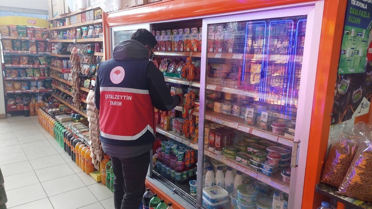 Çatalzeytin Gıda Denetim (2)