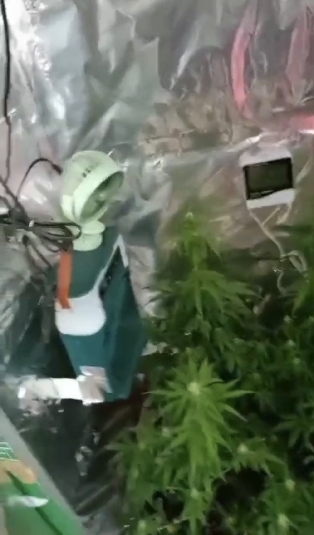 Elbise Dolabında Kurulan Sistemle Evde Yasaklı Üretim2