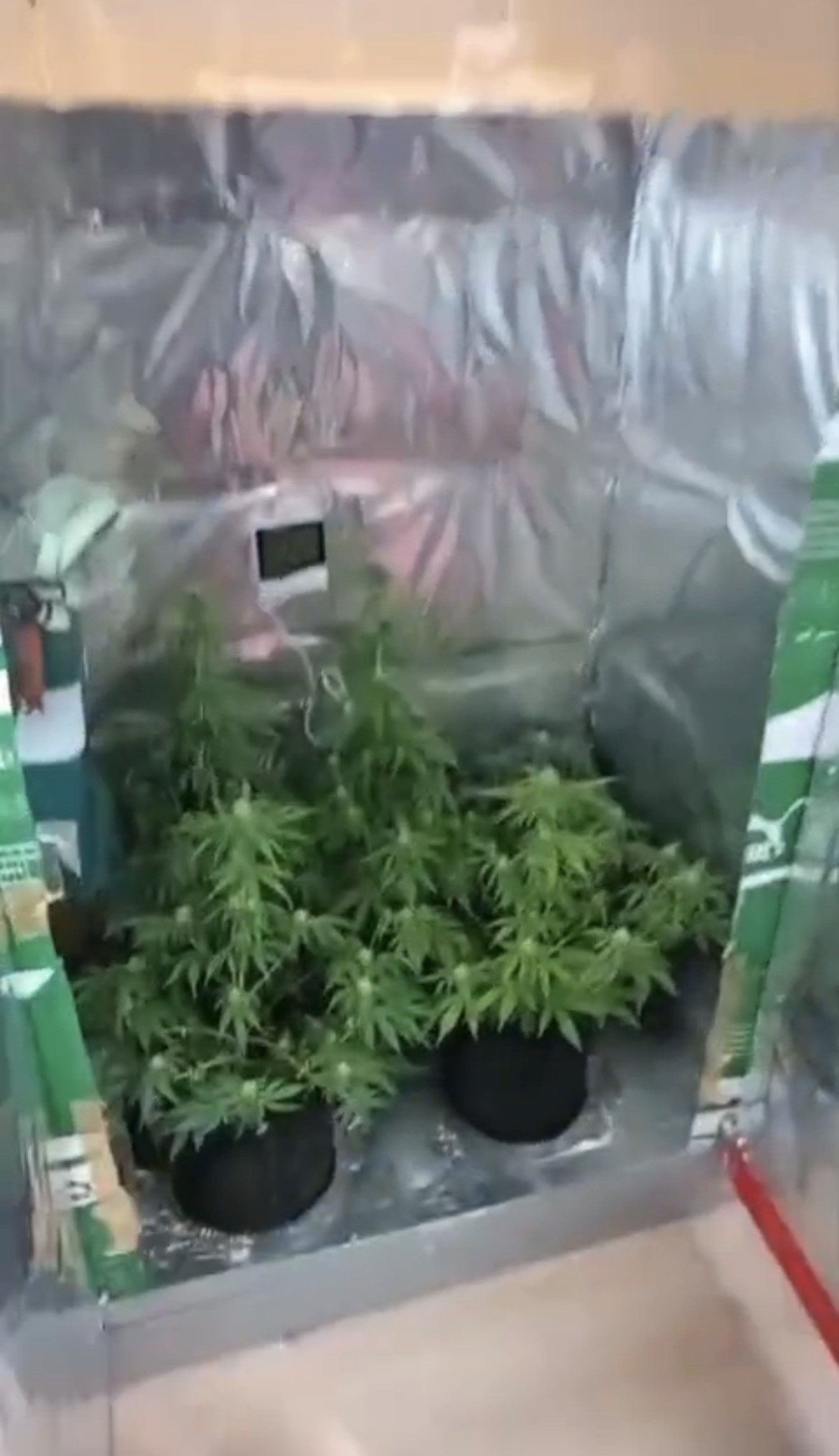 Elbise Dolabında Kurulan Sistemle Evde Yasaklı Üretim4