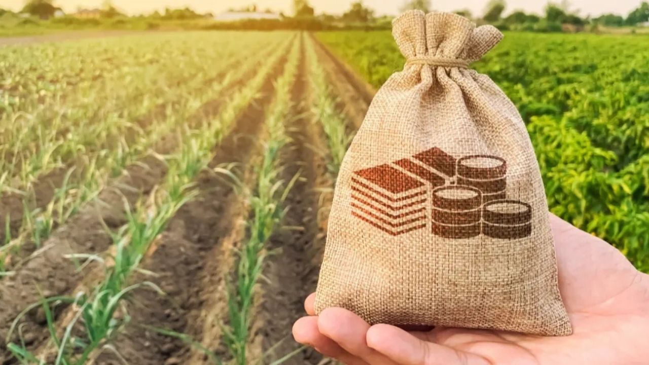 Esnaf Ve Çiftçiye Kredi Başvurusu Değişti Yeni Kurallar Yürürlükte