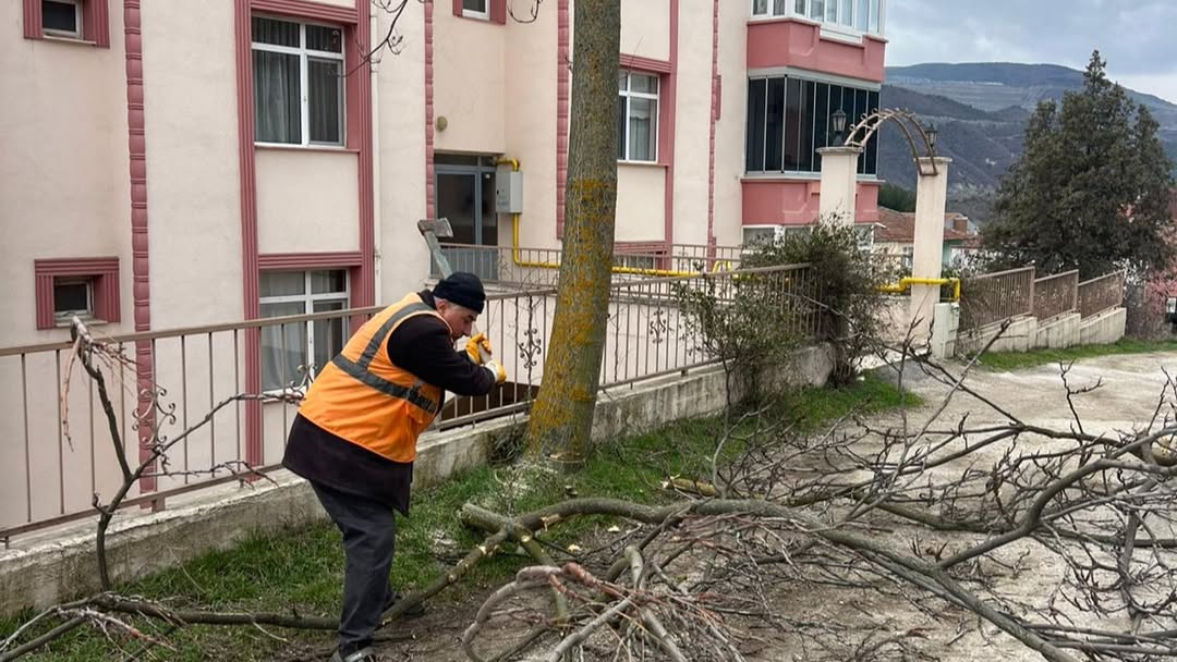 Hanönü'de Belediye Ekipleri Çalışmalarına Hız Verdi 14
