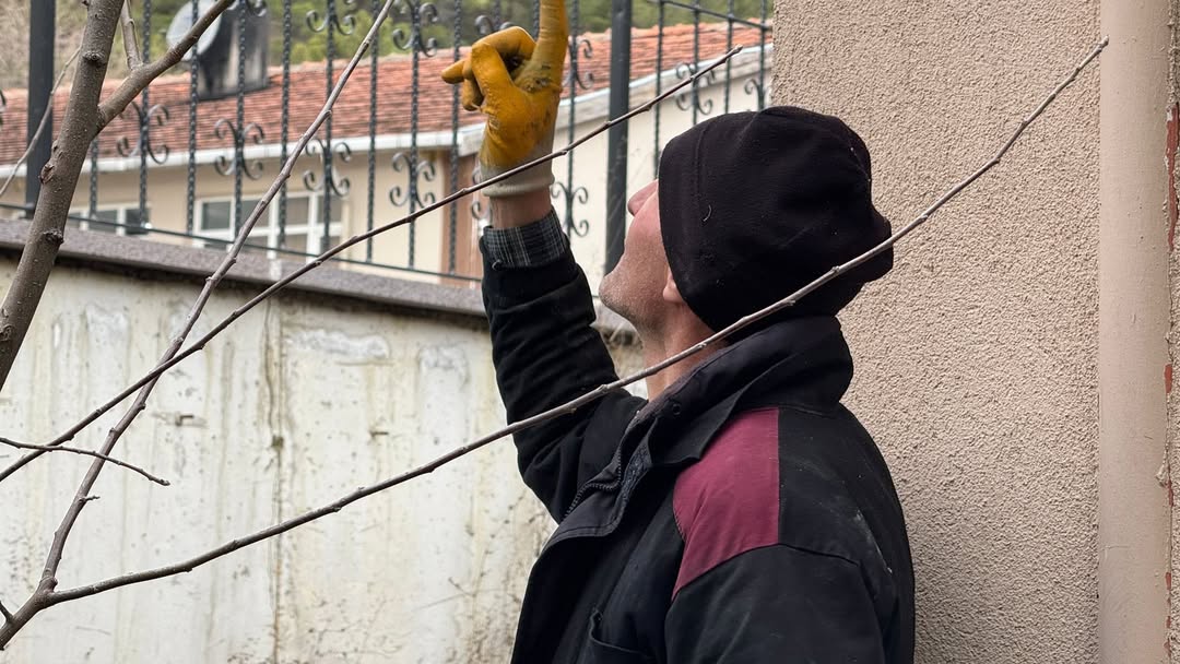 Hanönü'de Belediye Ekipleri Çalışmalarına Hız Verdi 2
