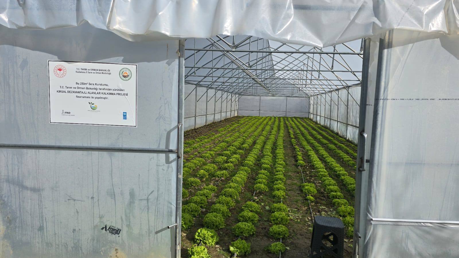 Hanönü'de Kadın Üreticiler Güçleniyor 1000