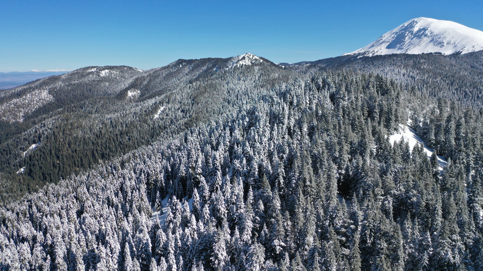 Ilgaz Dağı'nda Kar Manzarası Büyüledi Büyük Hacet Tepesi Beyaza Büründü! 14