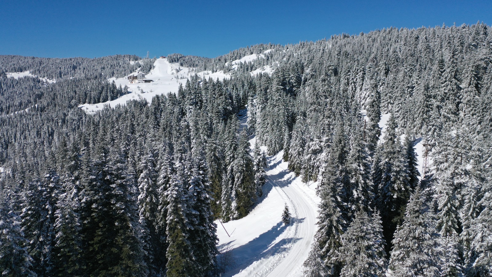 Ilgaz Dağı'nda Kar Manzarası Büyüledi Büyük Hacet Tepesi Beyaza Büründü! 2