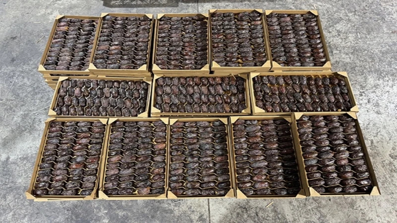 Israil Hurmasına Dikkat (2)