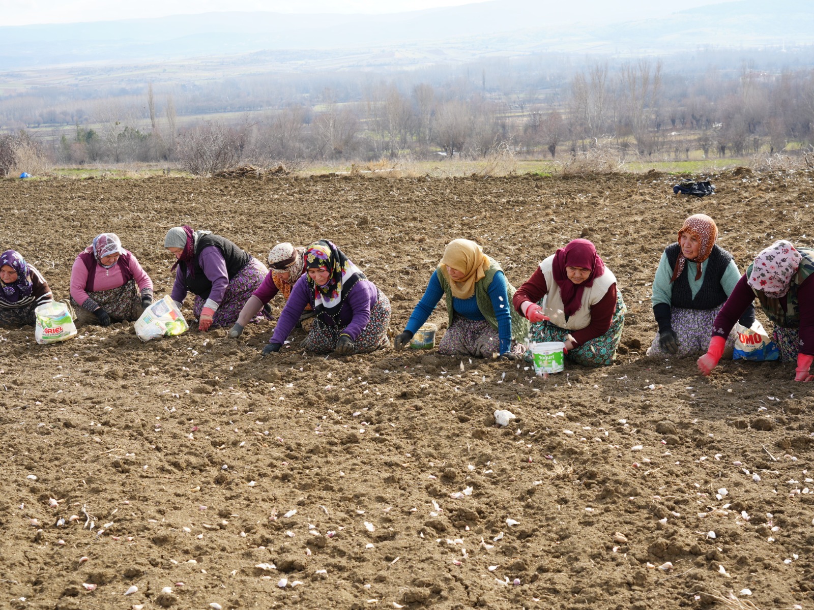 İstanbul'dan Memleketi Taşköprü'ye Döndü Megakenti Bırakıp Toprağa Sarıldı 14