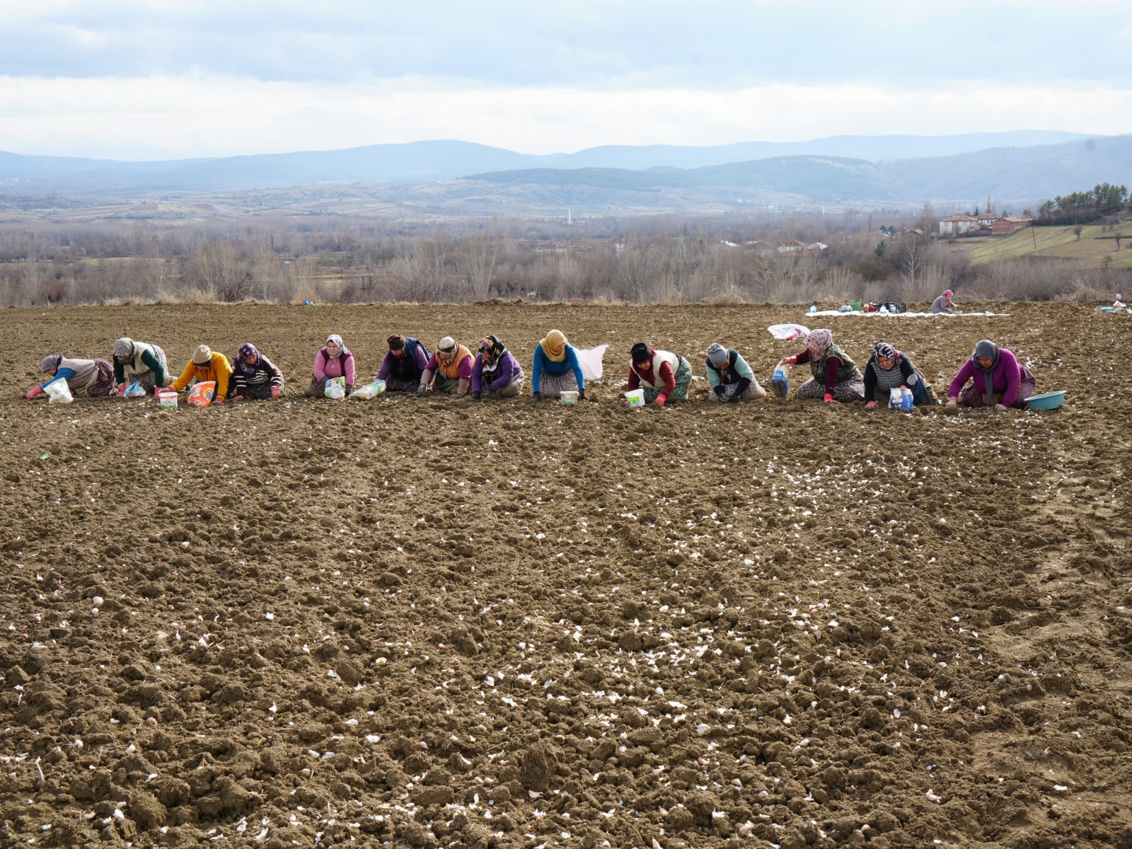İstanbul'dan Memleketi Taşköprü'ye Döndü Megakenti Bırakıp Toprağa Sarıldı 22