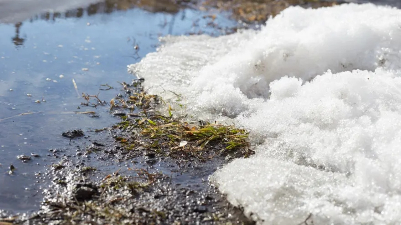 Karadeniz’de Görünmeyen Tehlike Risk Kapıda (3)