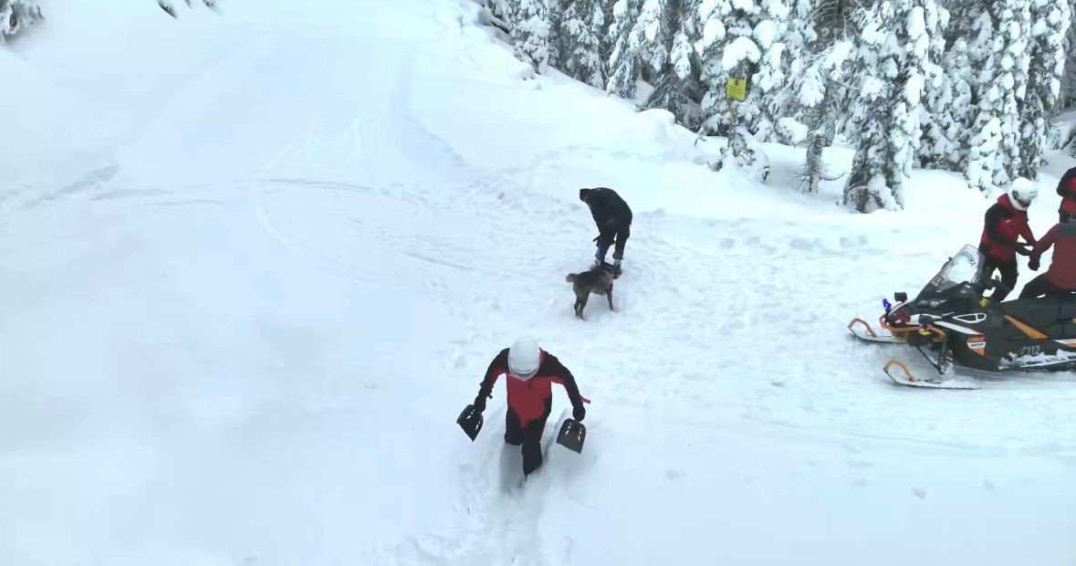 Kartalkaya Kayak Merkezi’nde Güvenlik Alarmı Jak Sahada1