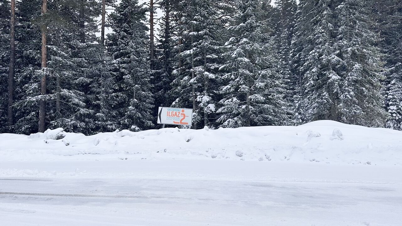 Kastamonu Çankır Ilgaz Dağı Kar Yağışı (1)