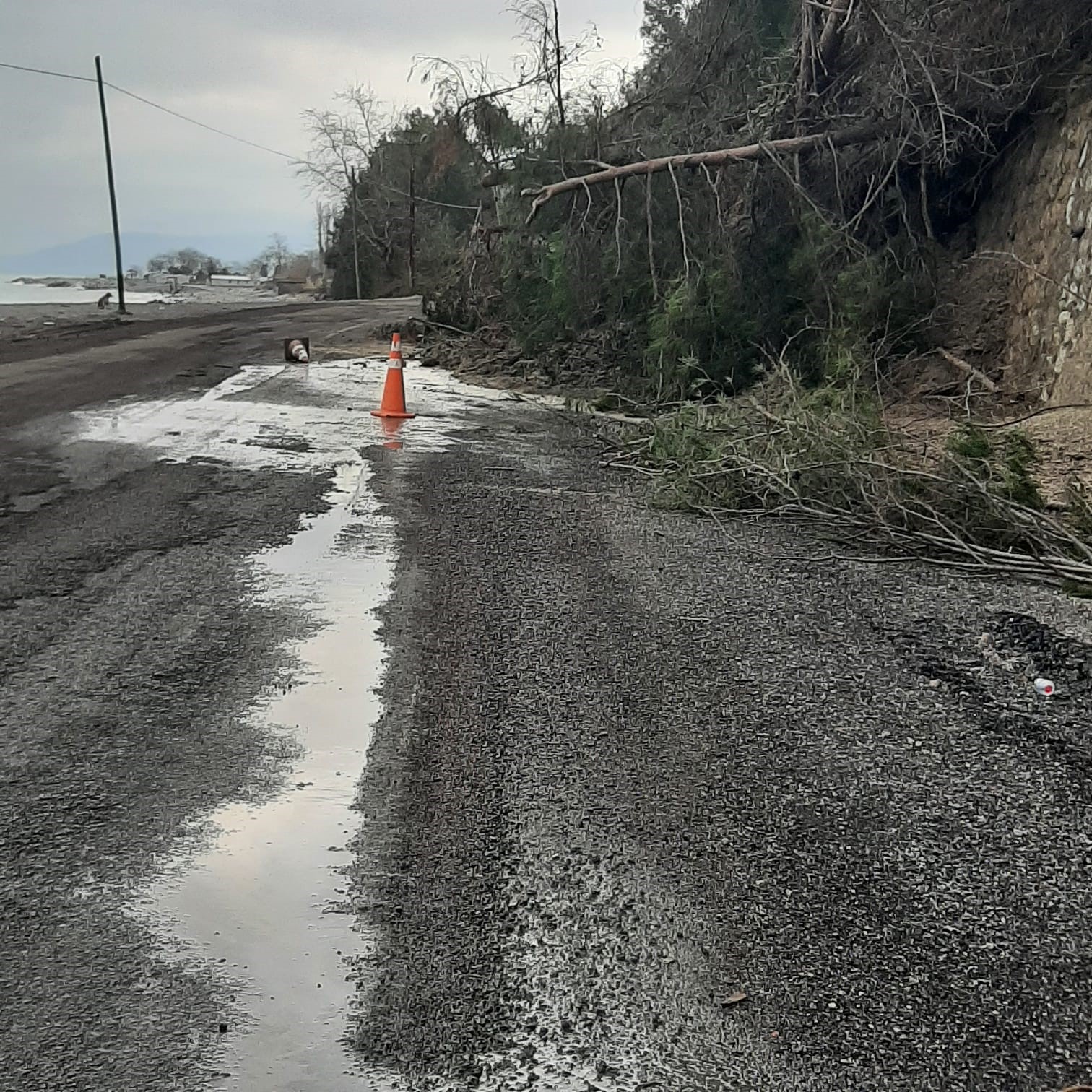 Kastamonu Sahilinde Yağış Sonrası Heyelan Ağaçlar Yola Kadar Geldi! 88888888888888