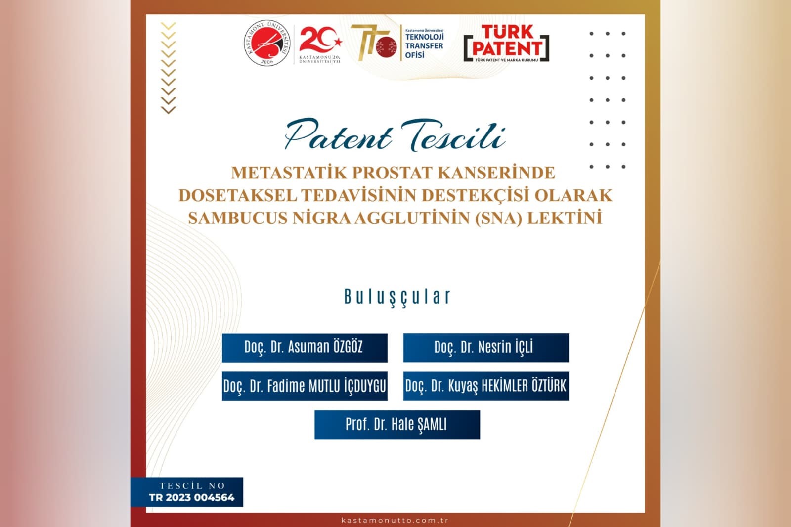 Kastamonu Üniversitesi'nde Prostat Kanseri Tedavisi Yöntemi Tescillendi 22