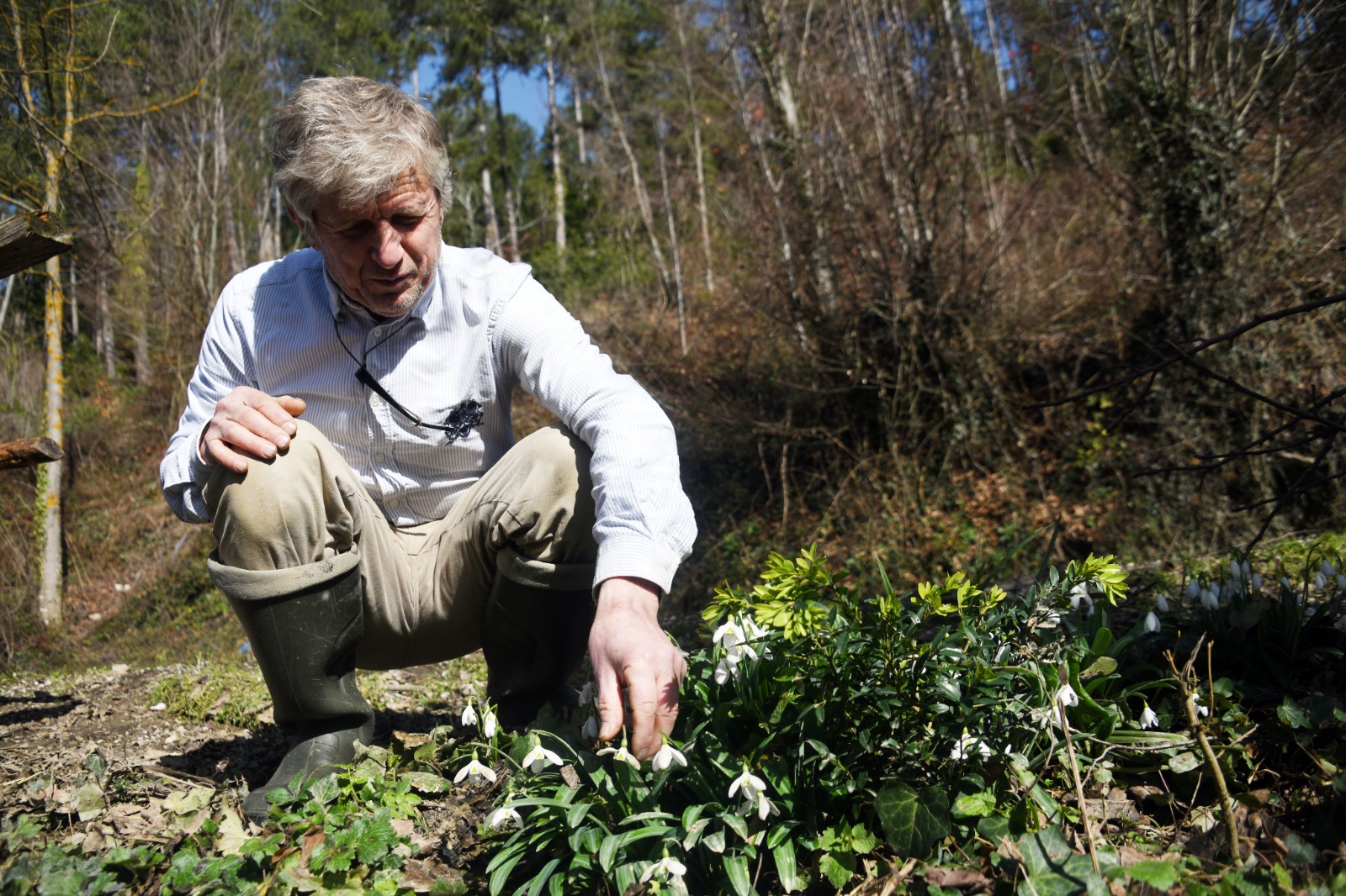 Kastamonu'da Kardelenler Bu Yıl Erken Açtı 24