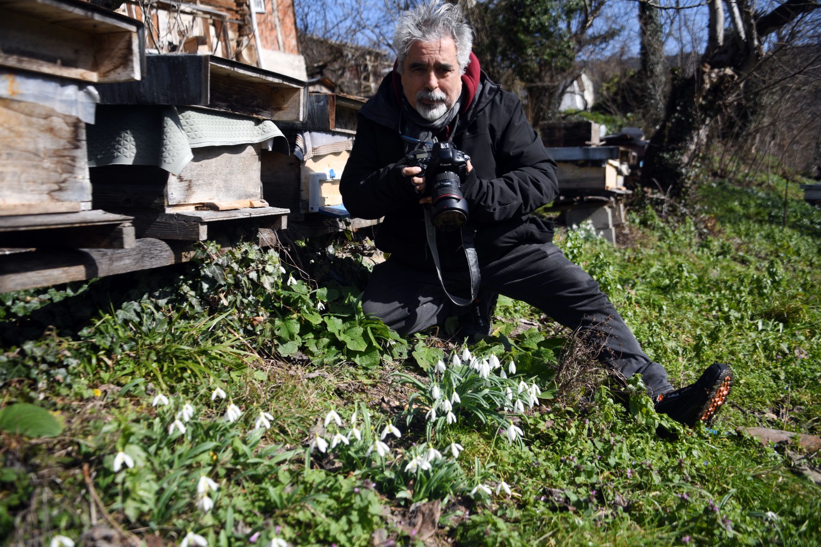 Kastamonu'da Kardelenler Bu Yıl Erken Açtı 52