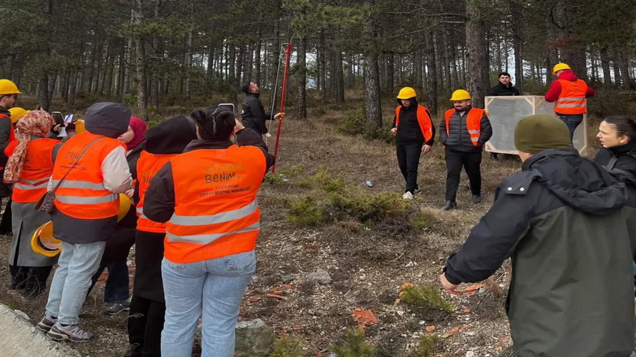 Kastamonu’da Orman Zararlılarına Karşı Mücadele (1)