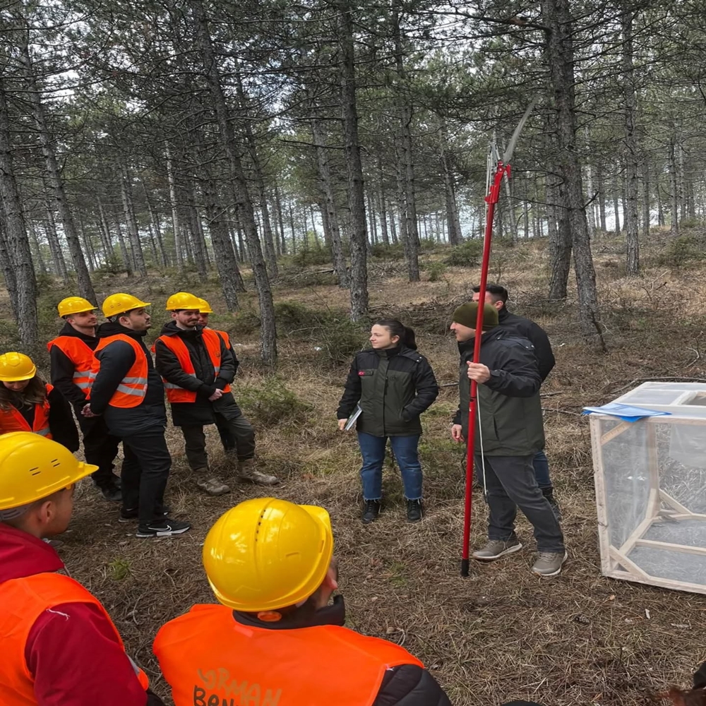 Kastamonu’da Orman Zararlılarına Karşı Mücadele (2)