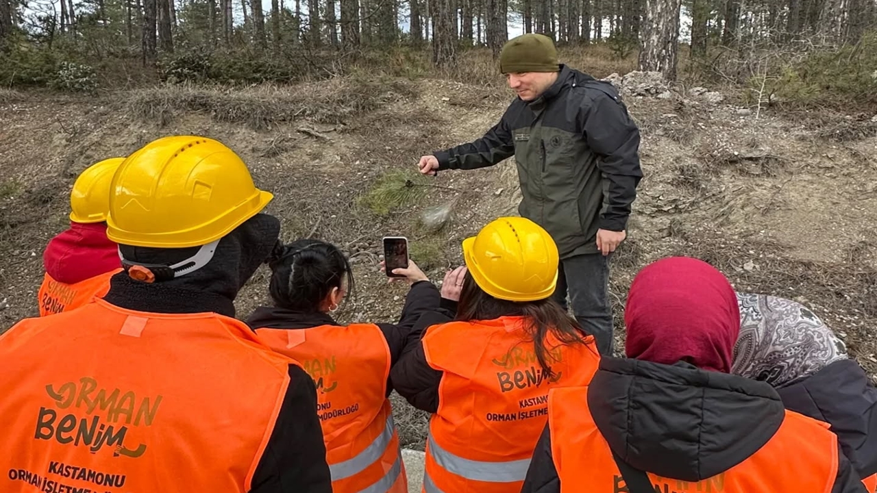 Kastamonu’da Orman Zararlılarına Karşı Mücadele (5)