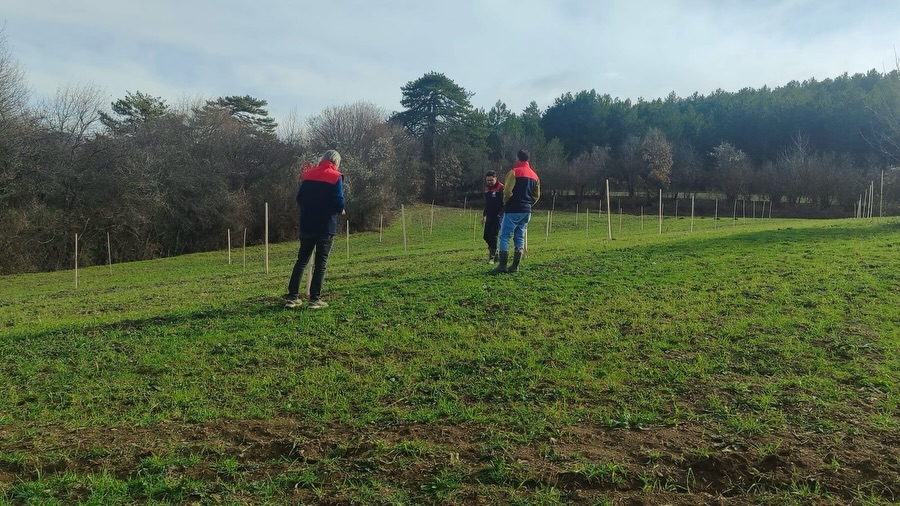 Kastamonu'da Tarım Arazilerine Sıkı Denetim Başvurular Titizlikle Inceleniyor 44