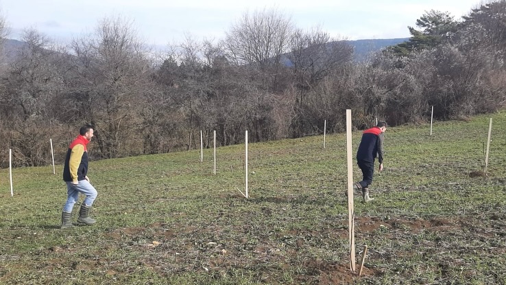 Kastamonu'da Tarım Arazilerine Sıkı Denetim Başvurular Titizlikle Inceleniyor 88888888