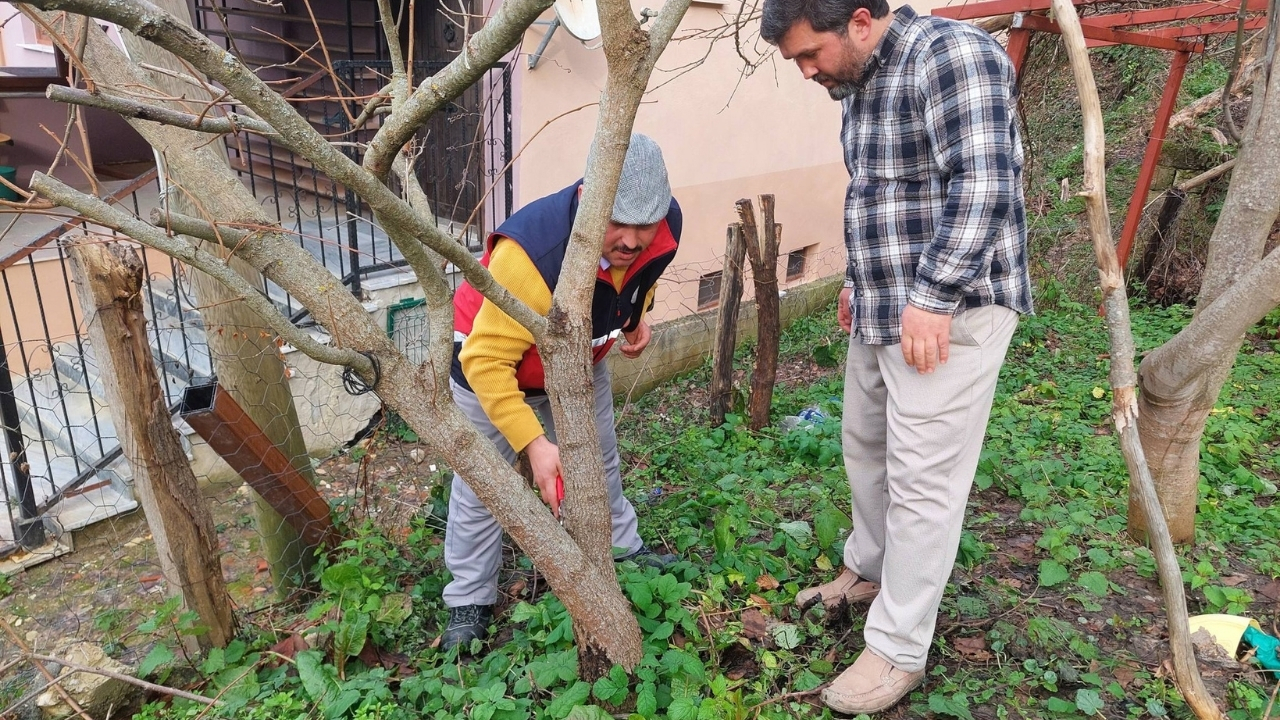 Kastamonu’nun Ilçesinde Çiftçiye Sahada Eğitim (4)