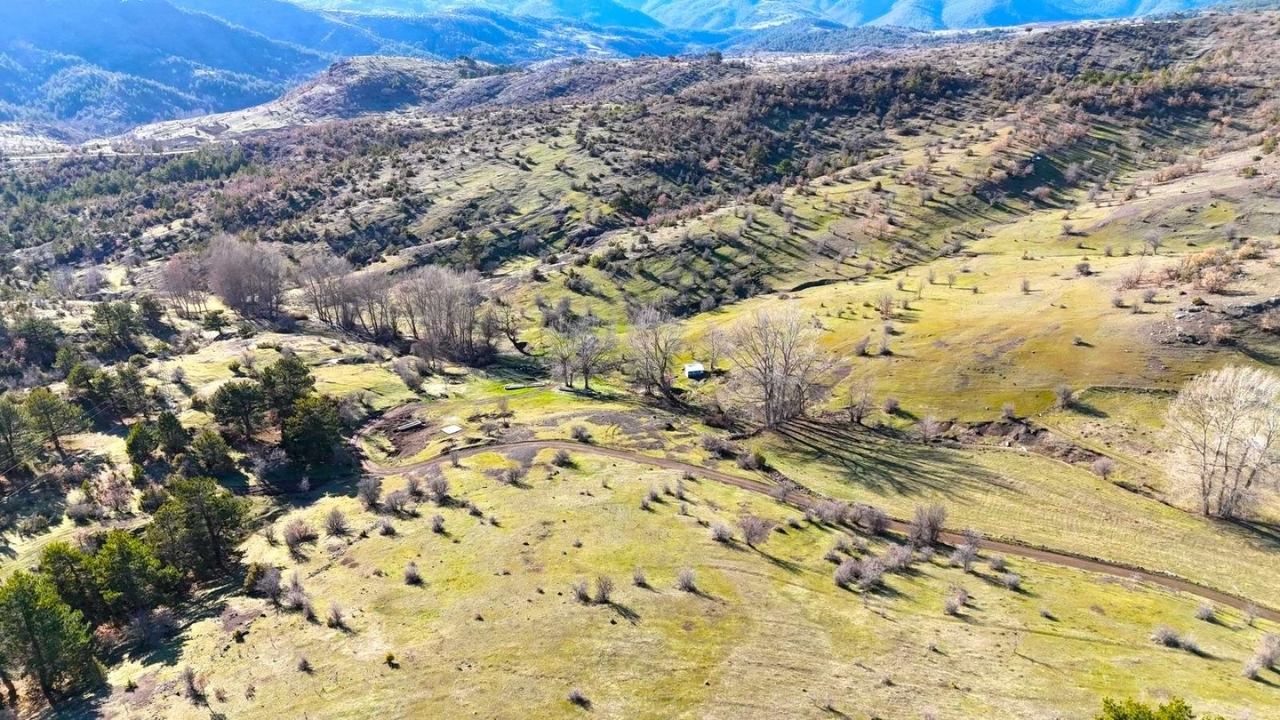 Kastamonu’nun Yaylalarında Kar Eridi, Yeşil Örtü Yeniden Kendini Gösterdi (1)