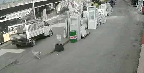 Köpekten Kaçan Kıza Sarı Otobüs Çarptı!5