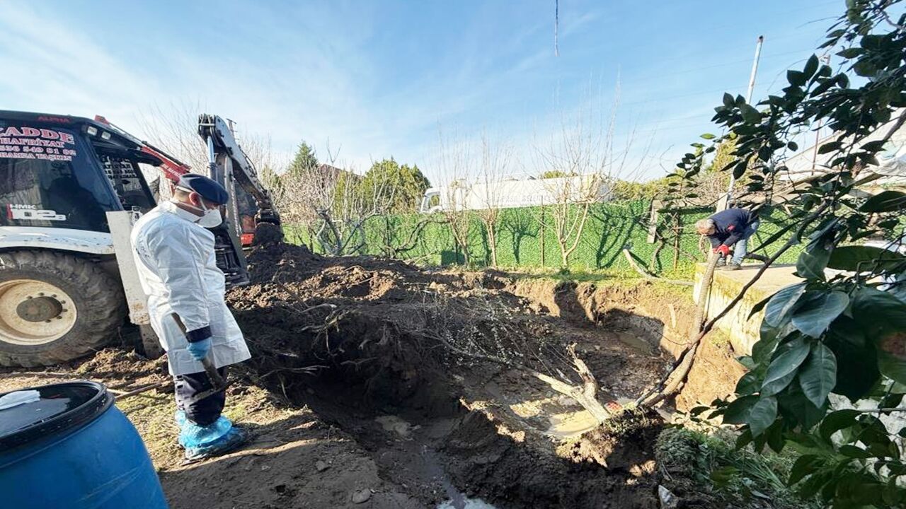 Manisa Ebru K Enişte (3)