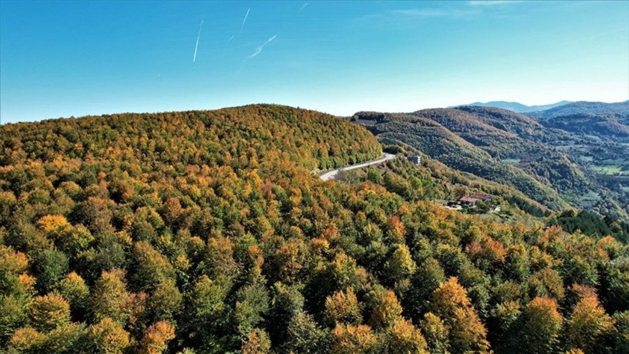 Resmi Gazete’de Yayımlandı Kastamonu Dahil 21 Ilde Orman Sınırı Değişti