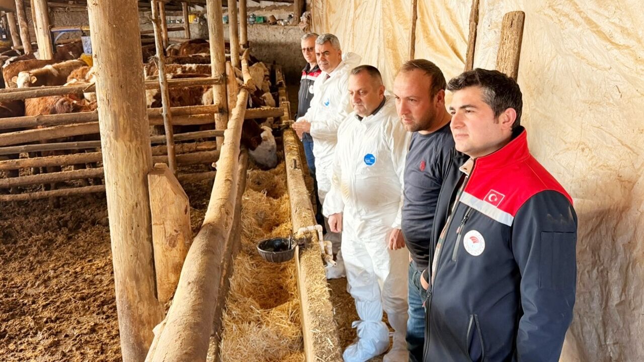 Seydiler Besicilik Hayvancılık (1)