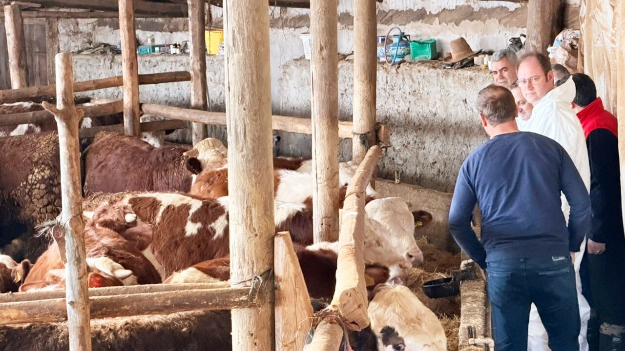 Seydiler Besicilik Hayvancılık (2)