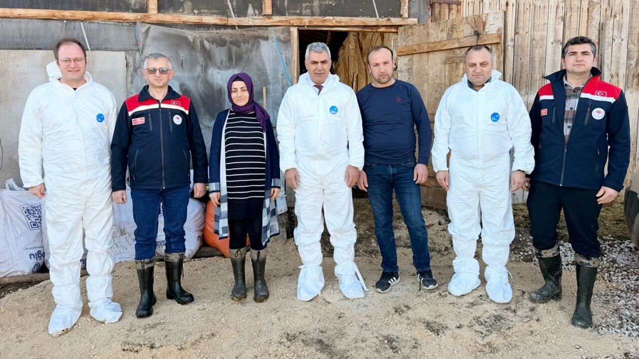 Seydiler Besicilik Hayvancılık (4)