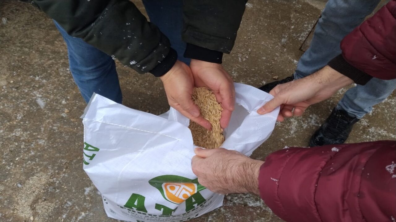 Seydiler Yulaf Dağıtımı (1)