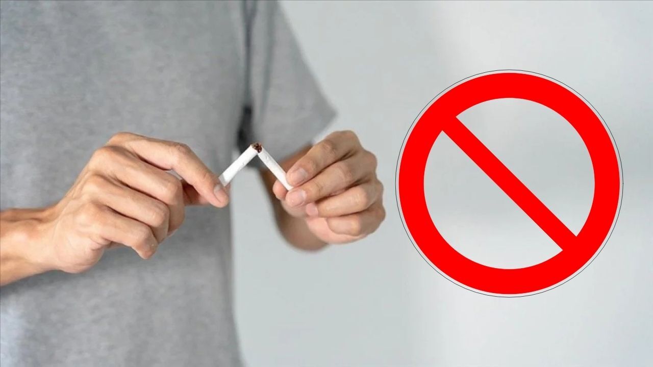 Sigara Düzenlemesi Güncel