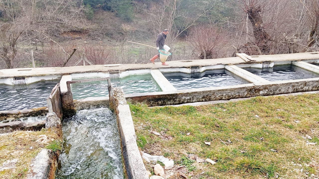 Tarım Su Ürünleri Denetim (2)