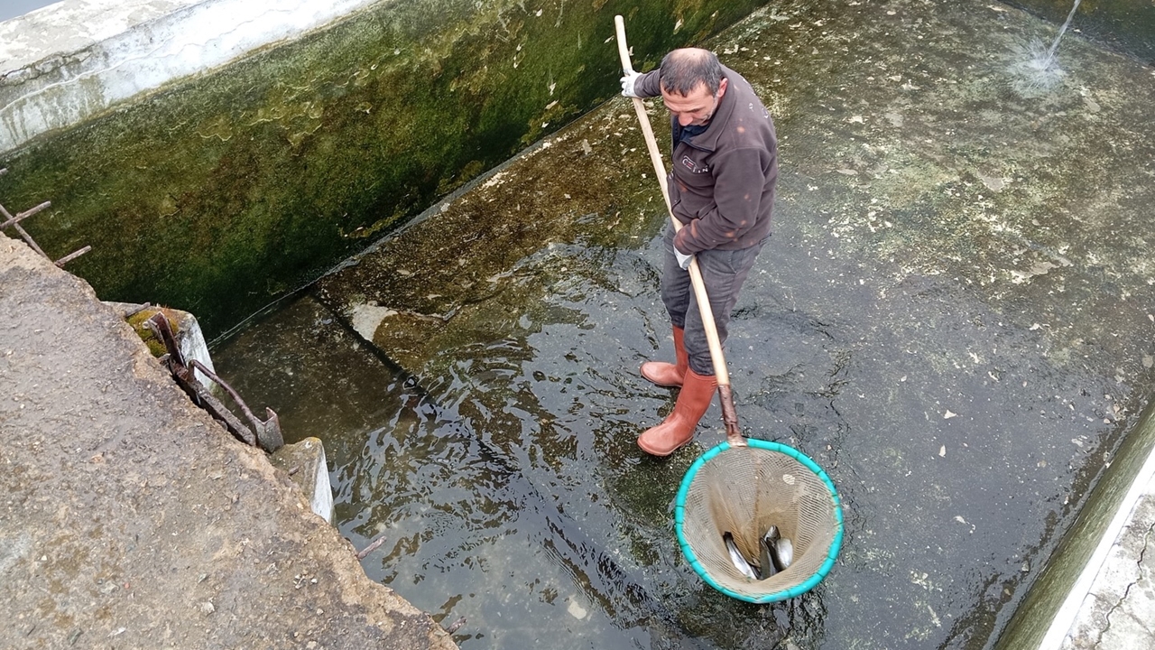Tarım Su Ürünleri Denetim (3)