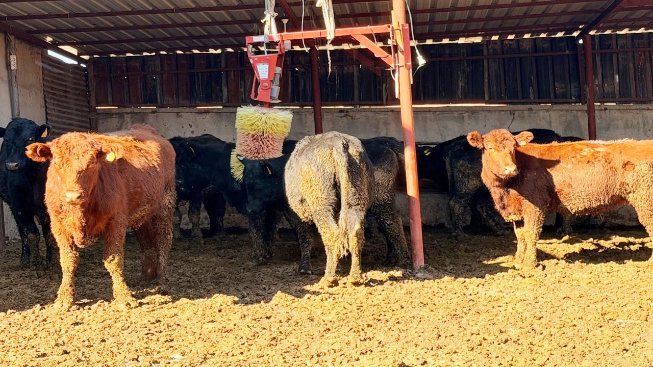 Taşköprü Besiciler Ziyaret (3)