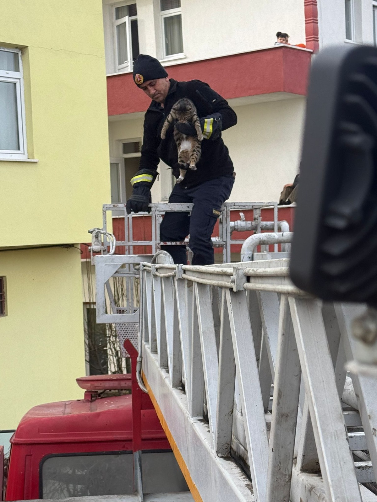 Taşköprü'de Çatıda Mahsur Kalan Hayvan Kurtarıldı 12