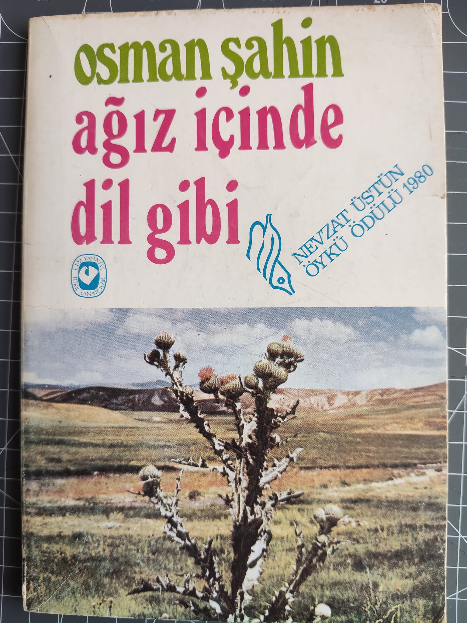 Toroslar, Obruk Ve Tulum Peyniri 12