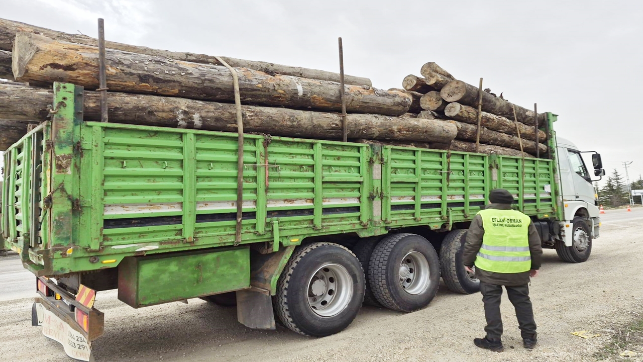 Zonguldak Orman Denetim (5)