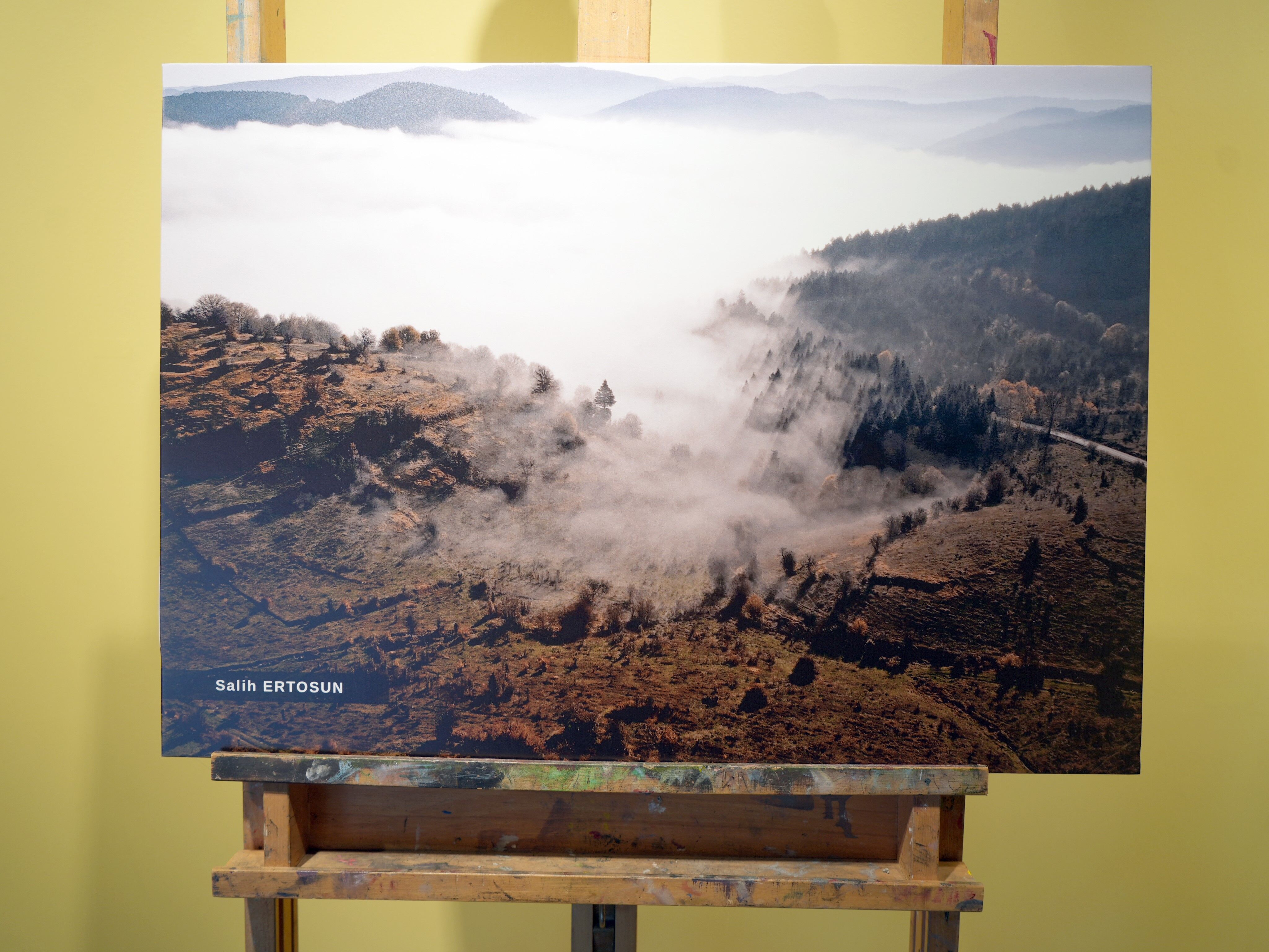 'Ahşabın Cazibesi' Belgeseli Kastamonu'da Ilk Kez Izleyiciyle Buluştu 14