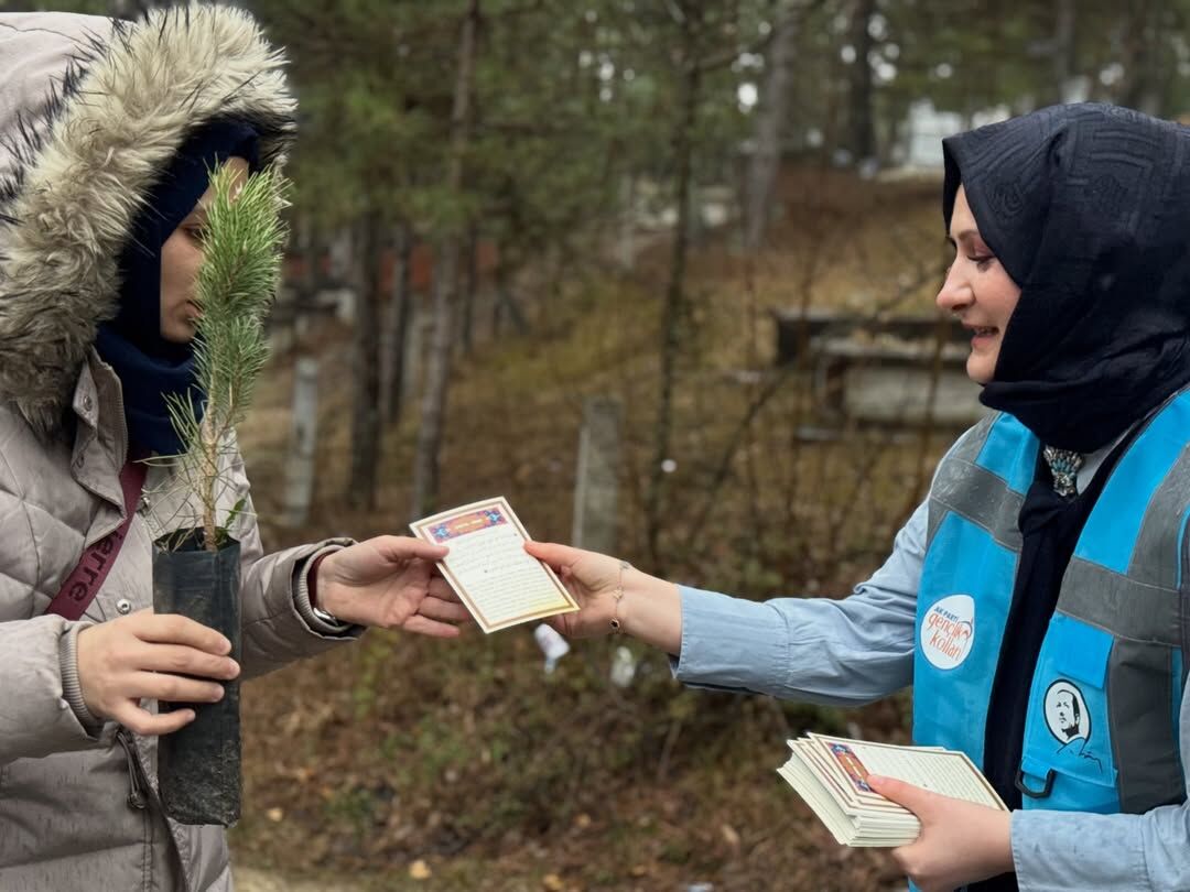 Ak Parti Kastamonu Vatandaşlara Çam Fidanı Hediye Etti 12