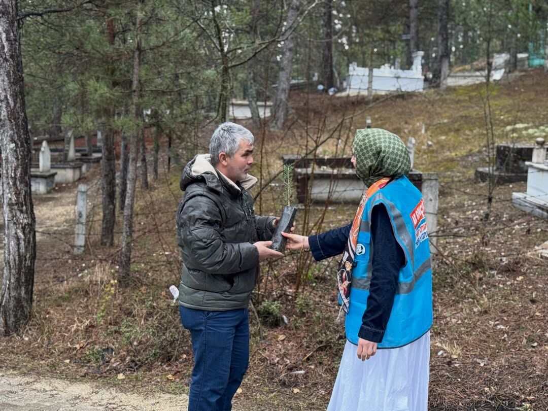 Ak Parti Kastamonu Vatandaşlara Çam Fidanı Hediye Etti 14