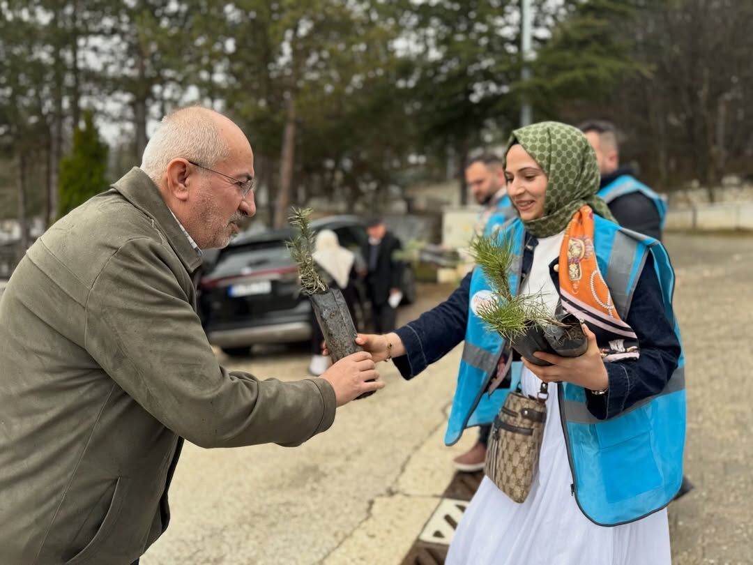 Ak Parti Kastamonu Vatandaşlara Çam Fidanı Hediye Etti 17