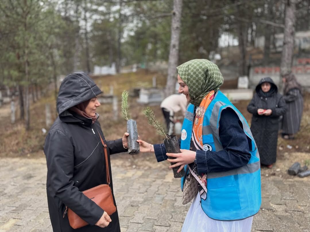 Ak Parti Kastamonu Vatandaşlara Çam Fidanı Hediye Etti 18
