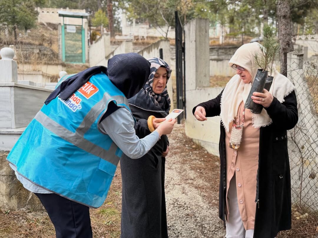 Ak Parti Kastamonu Vatandaşlara Çam Fidanı Hediye Etti 2