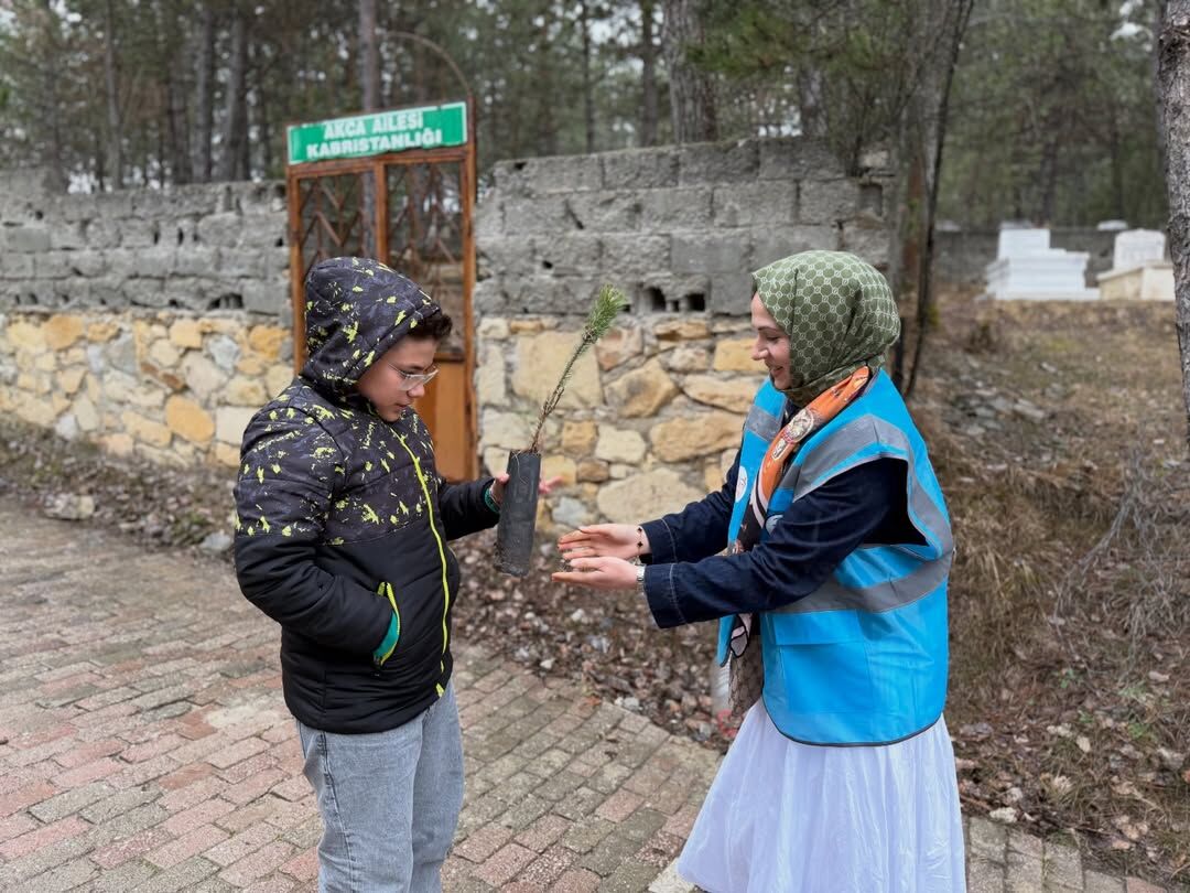 Ak Parti Kastamonu Vatandaşlara Çam Fidanı Hediye Etti 22