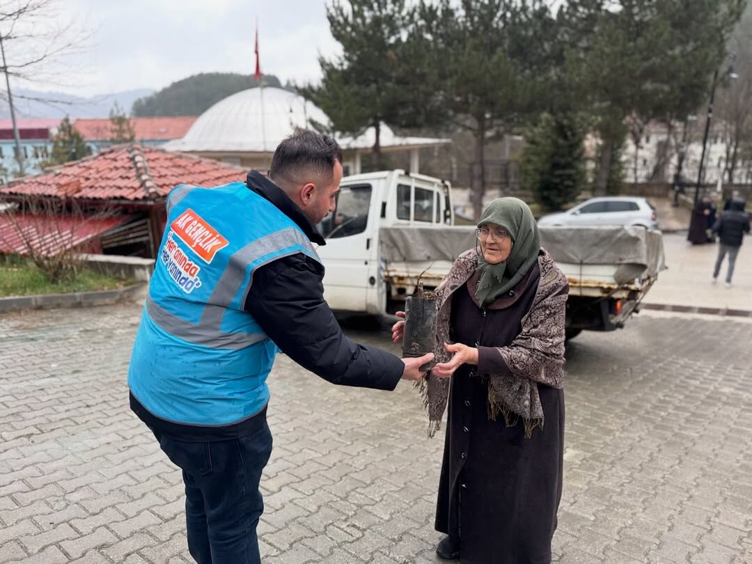 Ak Parti Kastamonu Vatandaşlara Çam Fidanı Hediye Etti 28