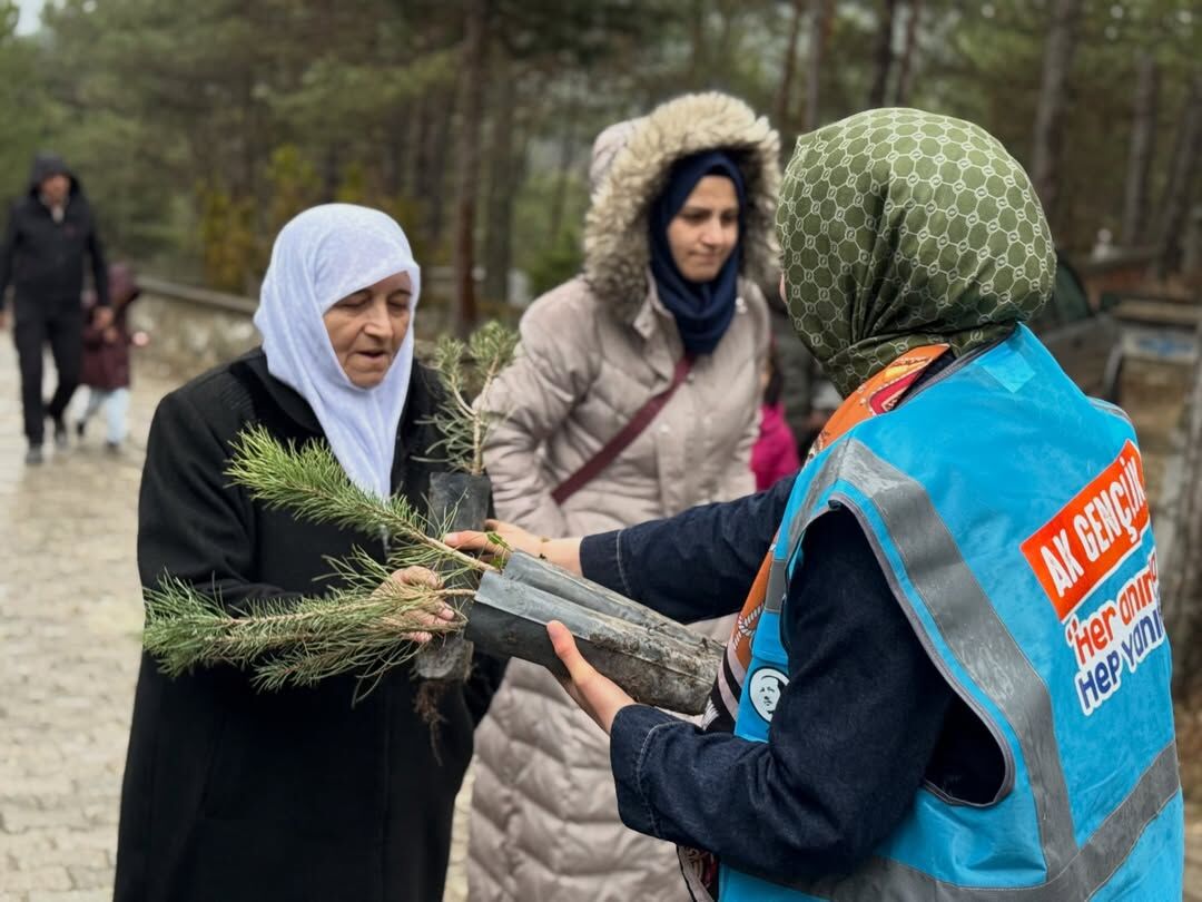 Ak Parti Kastamonu Vatandaşlara Çam Fidanı Hediye Etti 3