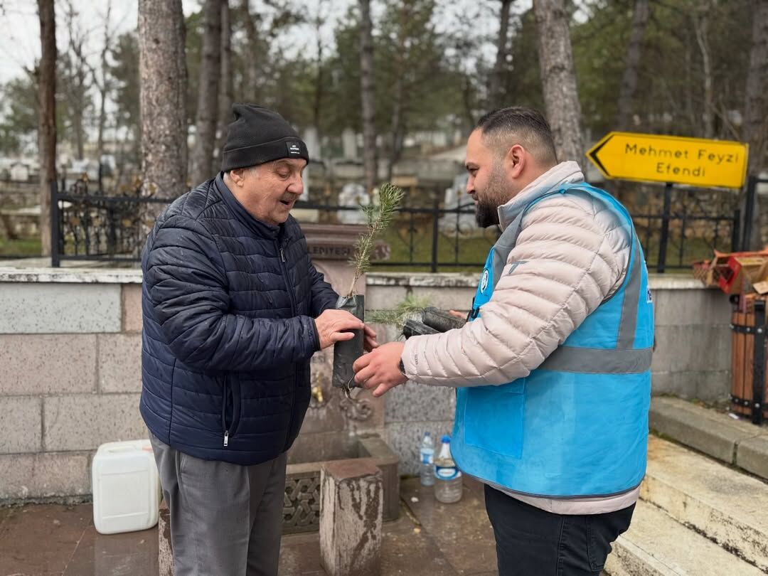 Ak Parti Kastamonu Vatandaşlara Çam Fidanı Hediye Etti 34